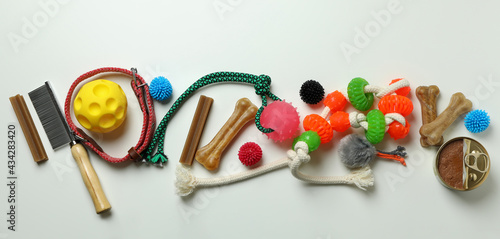 Pet accessories on white background, top view