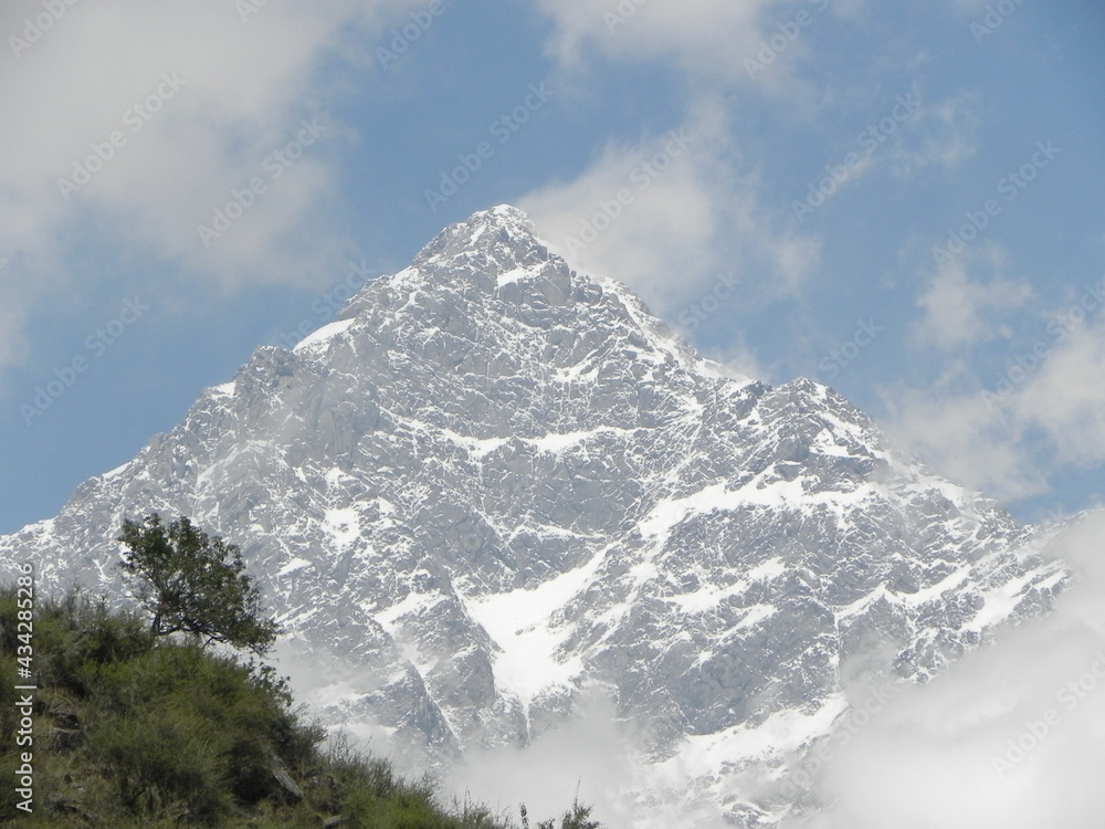 Snow covered mountains of the Great Himalayas, with a last Tree standing on the adjacent mountain at it's final tree-line.