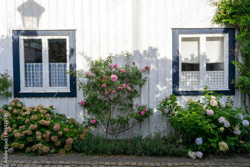 Swedish Window Dressing © Henrie