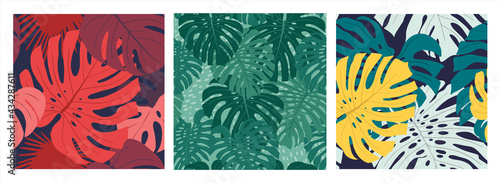 Set of three jungle seamless patterns with mostera and palm leaves photo