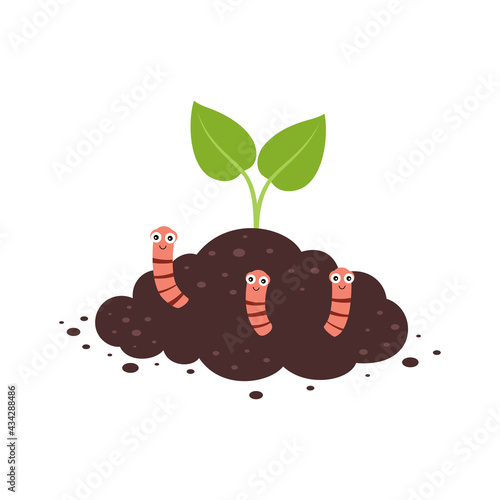 plant growth from soil with worms, vector illustration photo