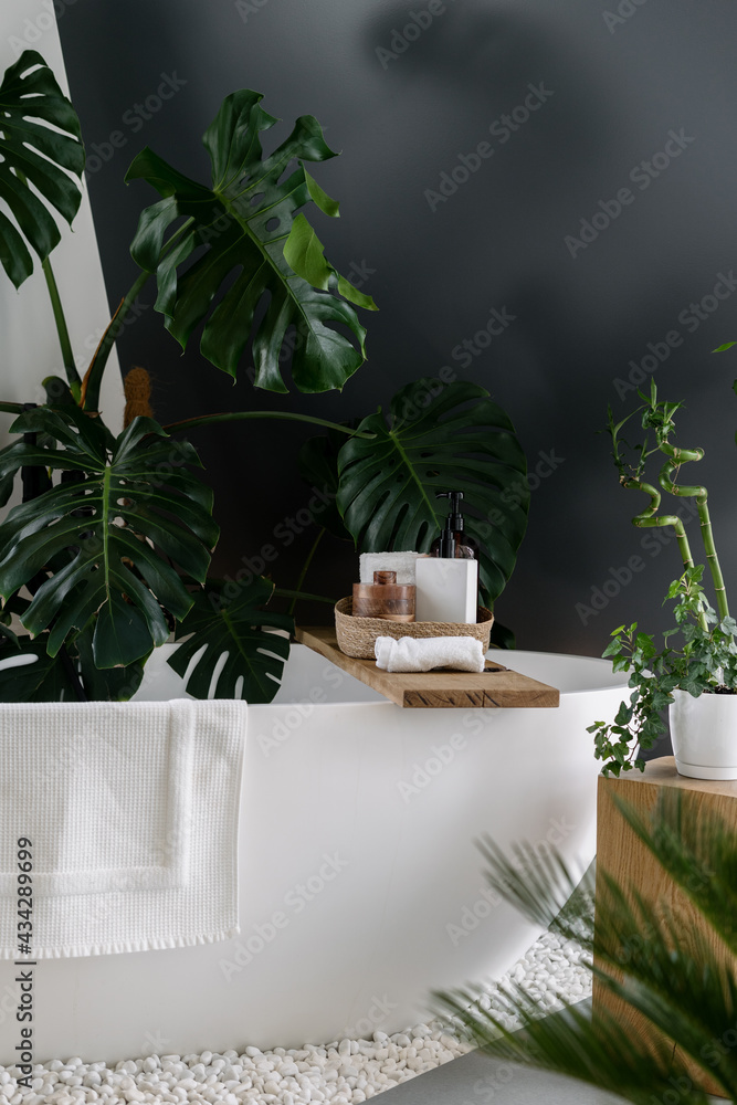 Modern bathroom with plants near freestanding white bathtub