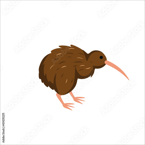 Cartoon kiwi bird on a white background.Flat cartoon illustration for kids.