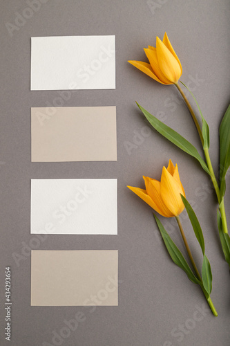 Fototapeta Naklejka Na Ścianę i Meble -  White and beige business cards and orange tulip flowers on gray pastel background. top view, copy space.
