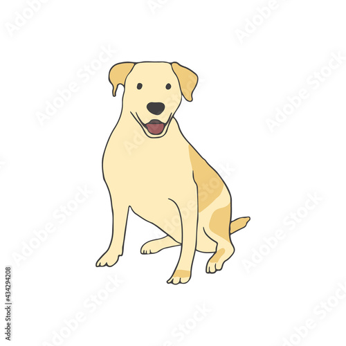 Labradorl breed. Hunting and companion dog. Smart doggy sitting on white background. Realistic purebred domestic dog. Isolated flat vector illustration