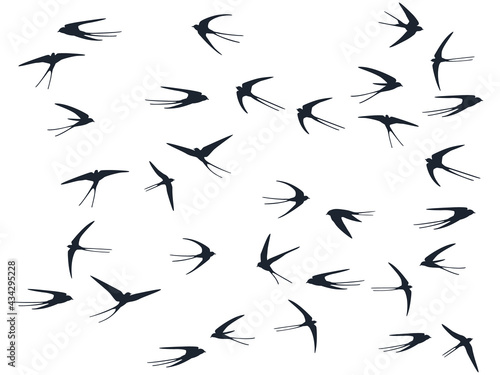 Flying swallow birds silhouettes vector illustration. Migratory martlets swarm isolated on white.
