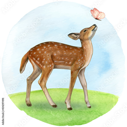 Watercolor beautiful realistic fawn and butterfly