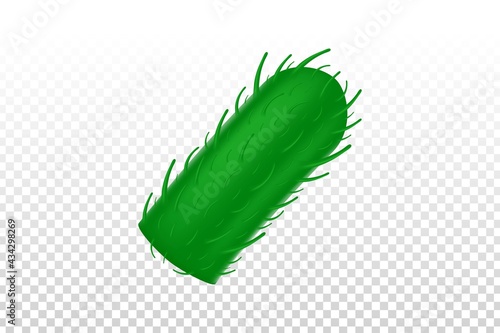 Vector realistic isolated Rabies on the transparent background.