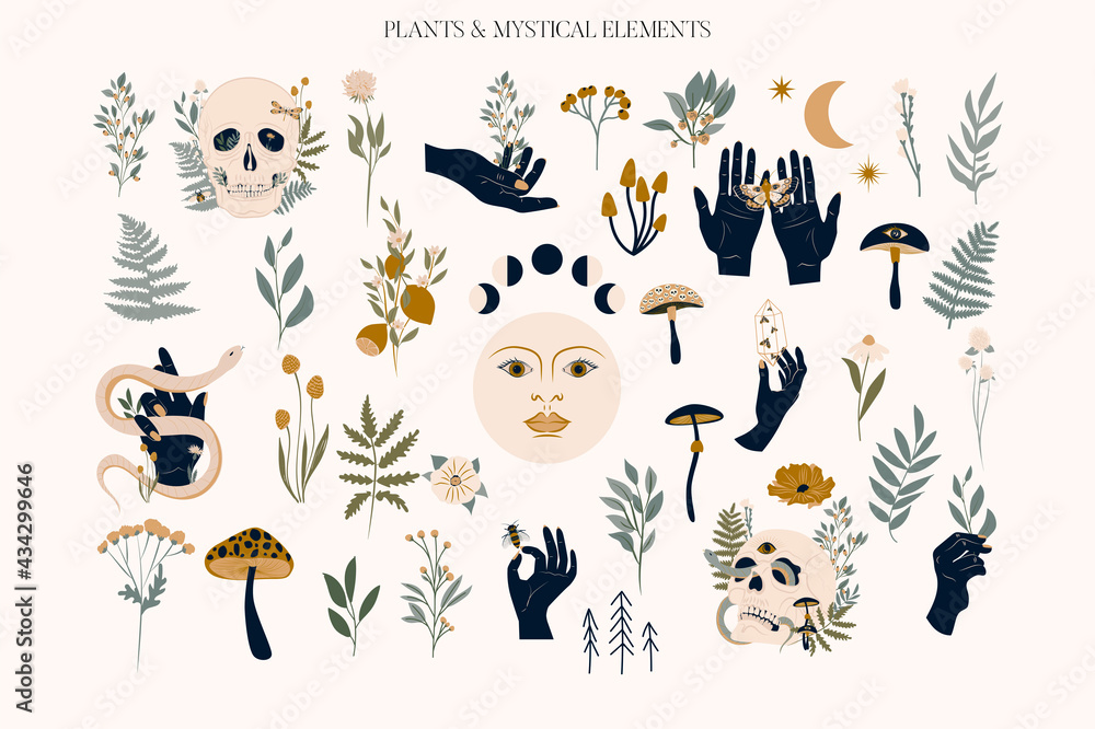 Set of mystical elements and flower, herb and plants. Editable vector clipart illustration.