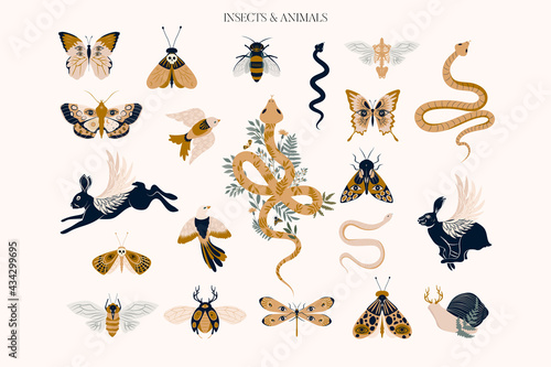 Set of mystical animals and insects clipart. Editable vector clipart illustration.