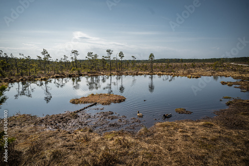 Moor landscape with small lake