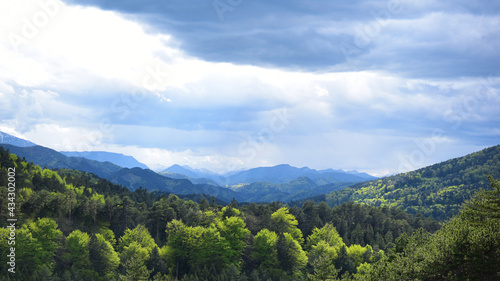 Berglandschaft im Fr  hling mit frisch gr  nen B  umen an einem wolkigen Tag  Berge bis zum Horizont  graue Wolken  Panorama im Schneeberg Land  