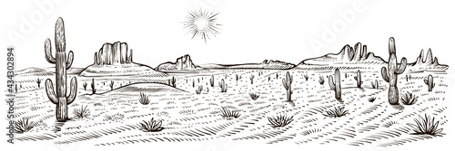 Desert landscape panorama, vector illustration. Line sketch.