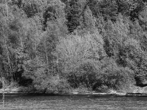 Black & white river forest landscape background
