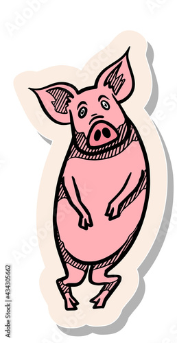 Hand drawn sticker style Hand drawing standing pig vector illustration