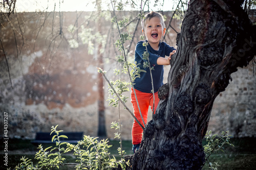 A small boy having fun climbing up on the tree in the park