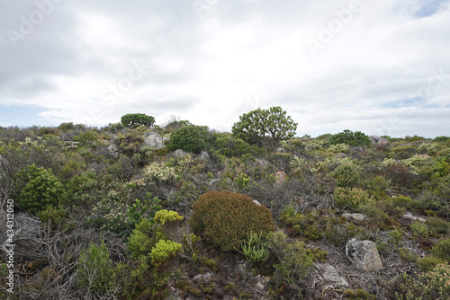Südafrika - Kap der guten Hoffnung - Wandern zum Cape Point
