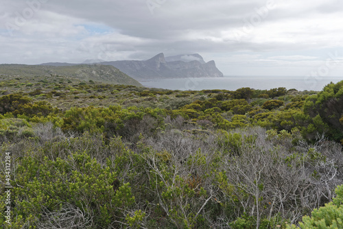 Südafrika - Kap der guten Hoffnung - Wandern zum Cape Point