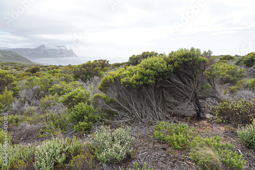Südafrika - Kap der guten Hoffnung - Wandern zum Cape Point