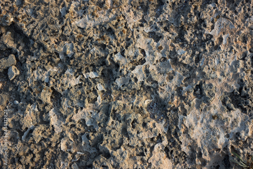 Crimean coquina. textured background. Closeup Crimean coquina. textured background. Closeup
