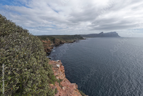 Südafrika - Kap der guten Hoffnung - Wandern zum Cape Point