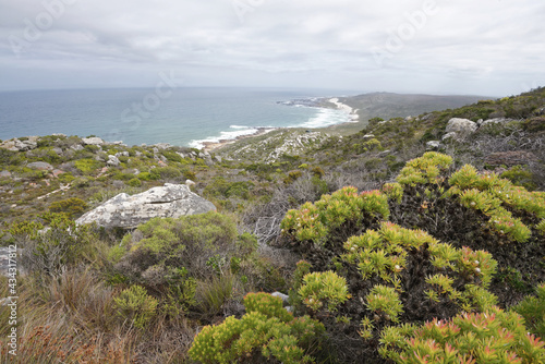 Südafrika - Kap der guten Hoffnung - Wandern zum Cape Point