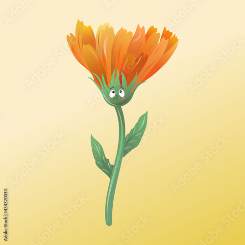 Cartoon calendula flower
