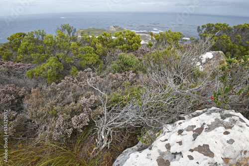 Südafrika - Kap der guten Hoffnung - Wandern zum Cape Point