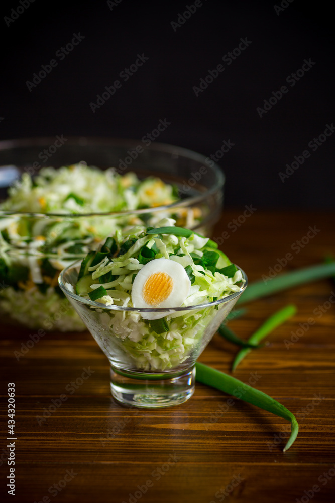 spring salad with early cabbage, cucumbers, eggs and green onions spring salad with early cabbage, cucumbers, eggs and green onions