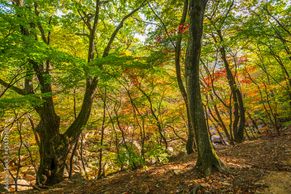 Seoraksan National Park in Autumn, Gangwon, South Korea