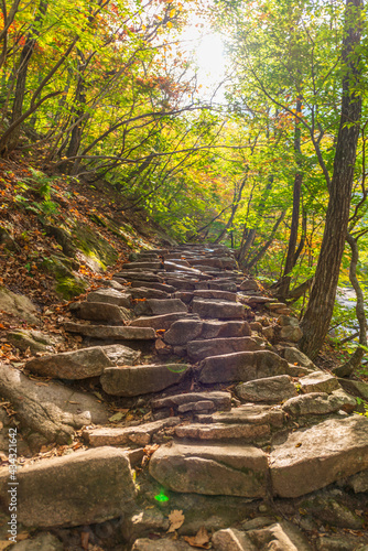 Seoraksan National Park in Autumn, Gangwon, South Korea photo