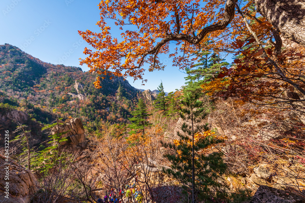Seoraksan National Park in Autumn, Gangwon, South Korea Seoraksan National Park in Autumn, Gangwon, South Korea