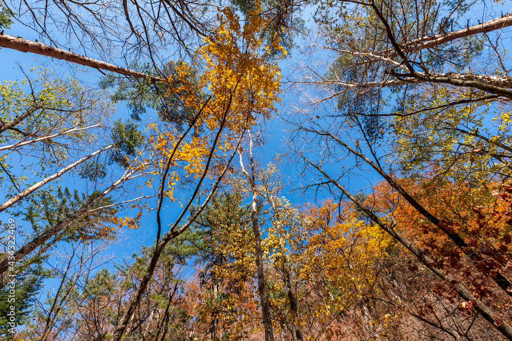 Seoraksan National Park in Autumn, Gangwon, South Korea Seoraksan National Park in Autumn, Gangwon, South Korea