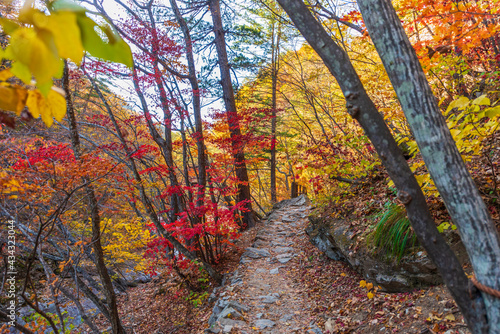 Seoraksan National Park in Autumn  Gangwon  South Korea