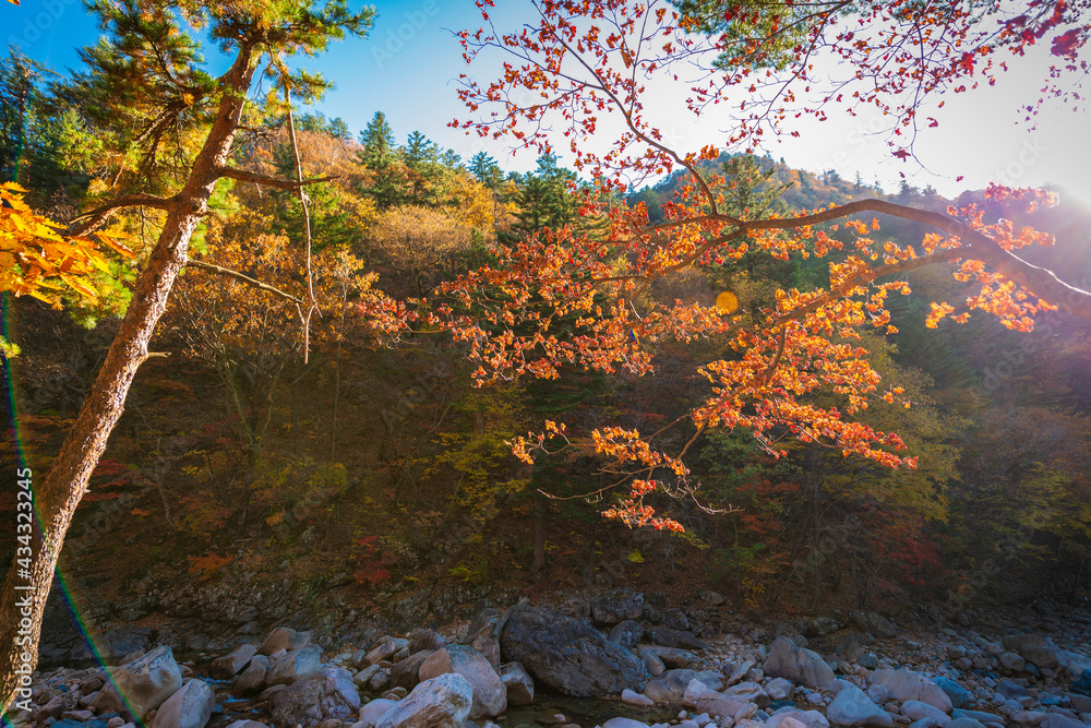 Seoraksan National Park in Autumn, Gangwon, South Korea Seoraksan National Park in Autumn, Gangwon, South Korea