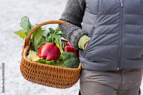 Wicker shopping basket filled with fresh organic fruits and vegetables hanging on arm of woman standing on snow covered meadow coming home from grocery shopping