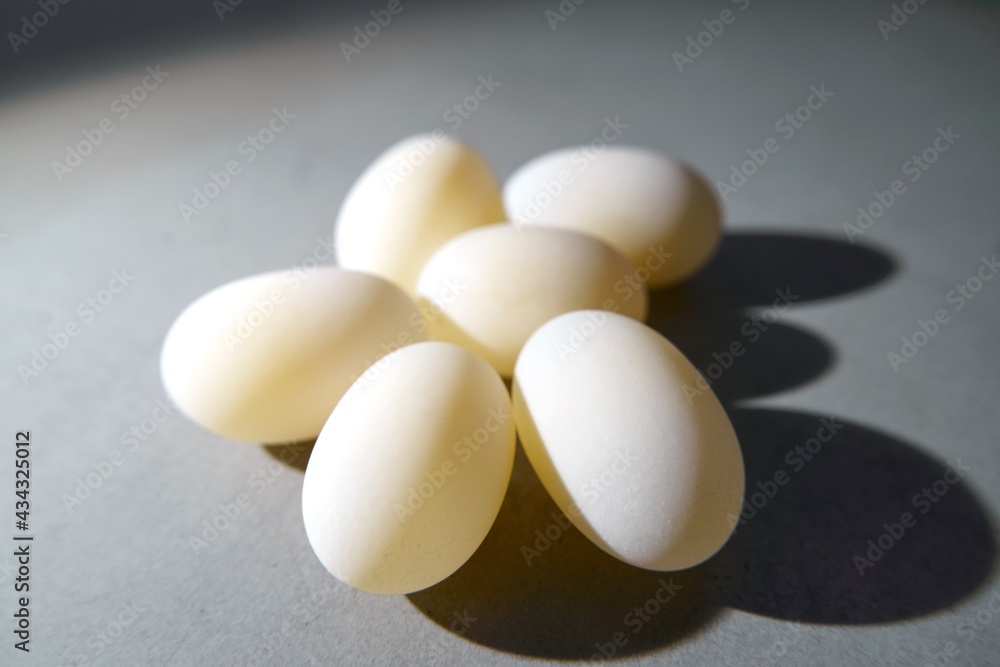 Freshly Laid Turtle Eggs. Marine animal reptile breeding Freshly Laid Turtle Eggs. Marine animal reptile breeding