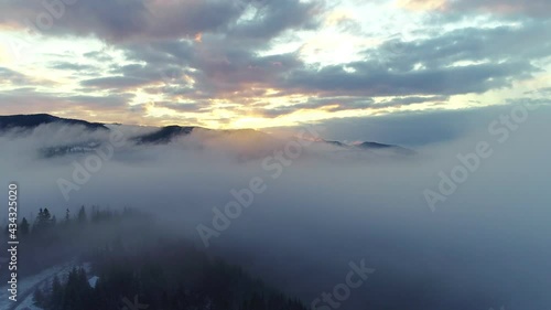 Wallpaper Mural foggy morning mountain landscape, breathtaking natural aerial landscape, flying above clouds over pine forest, fairytale scenery drone point of view Torontodigital.ca