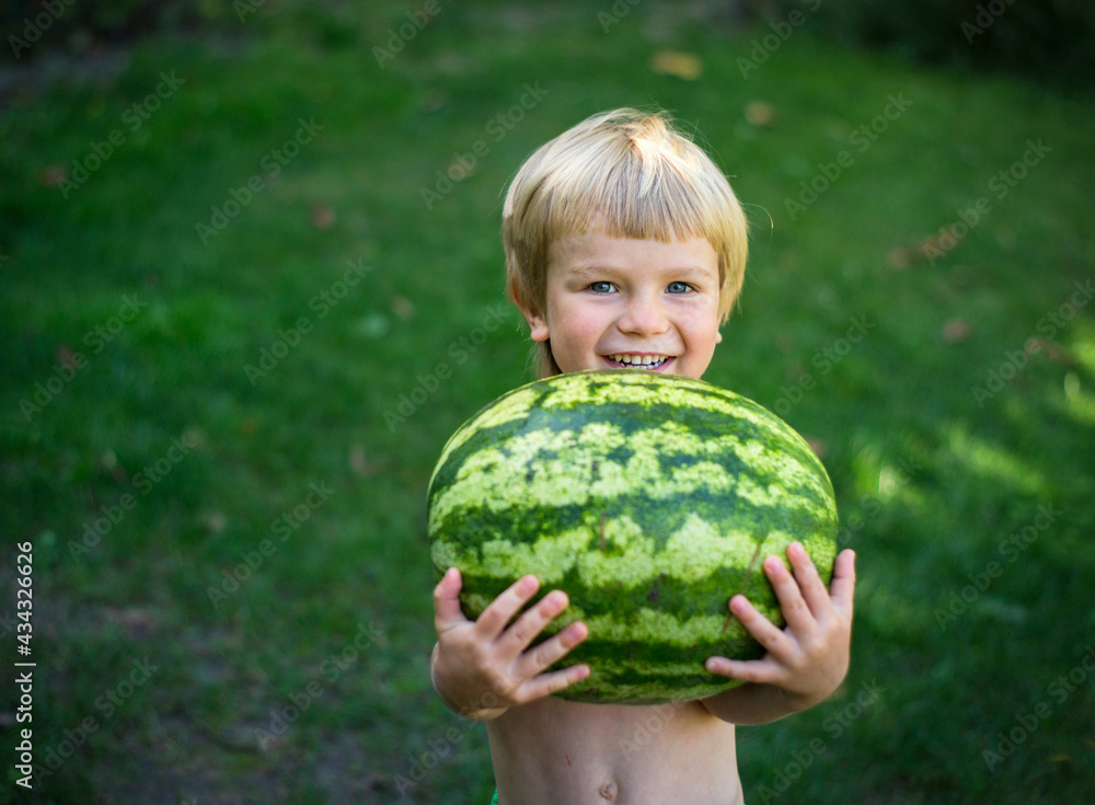 cheerful toddler boy carries a large striped watermelon in front of him. Against the background of green grass. Waiting for an appetizing delicious dessert. Children's joy, little helper cheerful toddler boy carries a large striped watermelon in front of him. Against the background of green grass. Waiting for an appetizing delicious dessert. Children's joy, little helper