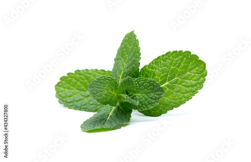fresh green mint leaves isolated on white background. top view.