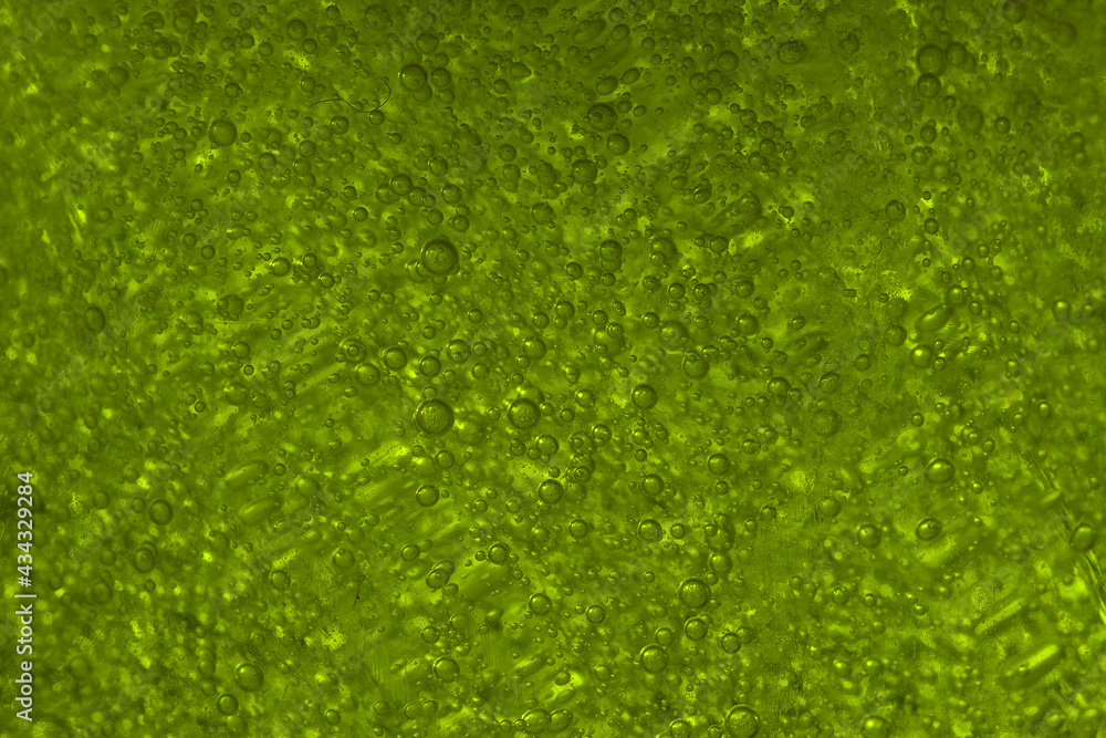 macro photo of bubbles to be used as textures macro photo of bubbles to be used as textures