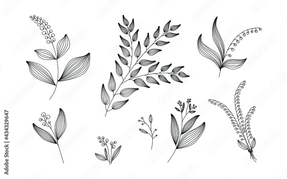 a set of plants with berries, flowers, lilies of the valley. Vector illustration in the doodle style a set of plants with berries, flowers, lilies of the valley. Vector illustration in the doodle style