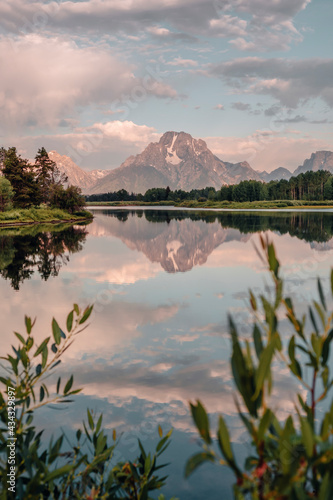 Through foliage, the morning sunrise illuminates Mt. Moran and the Teton Mountain Range a pink hue as they reflect on the Snake River at Oxbow Bend in Grand Teton National Park, WY, USA.