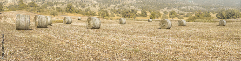 Wide panorama of agricultural field with dried grass and hay bales, Mediterranean landscape with trees and hills on background 