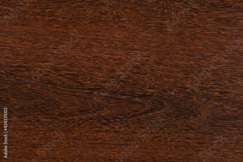 Sucupira veneer background in stylish brown color for new home design. photo