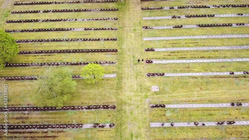 People walking over a graveyard. photo