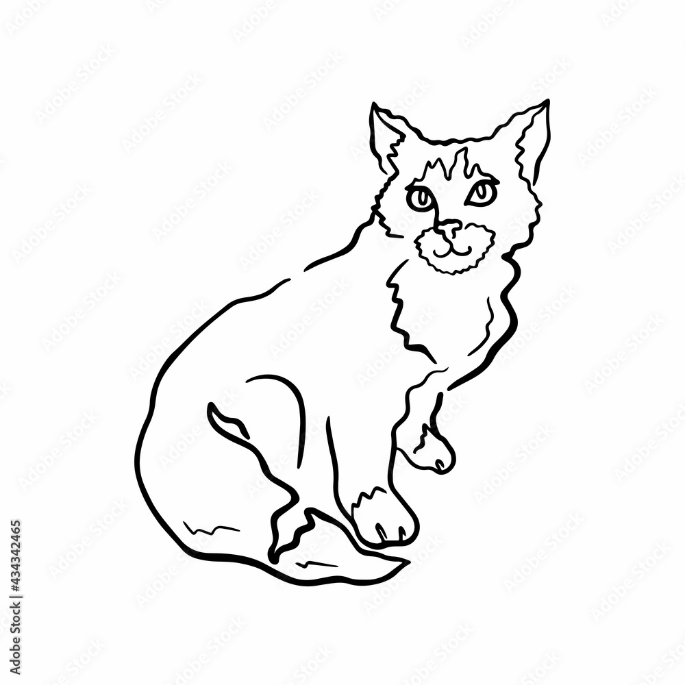 Vector illustration in line art style of a cat with a fluffy tail. Silhouette of a sitting cat in a minimalistic style isolated on a white background. 