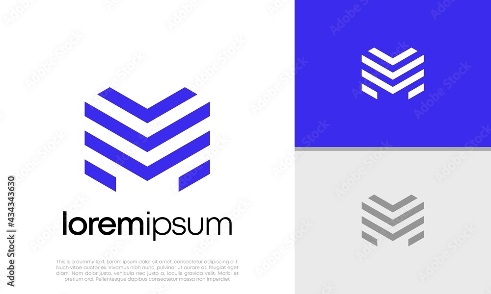 Fototapeta premium Initials M logo design. Initial Letter Logo. Hexagon logo design