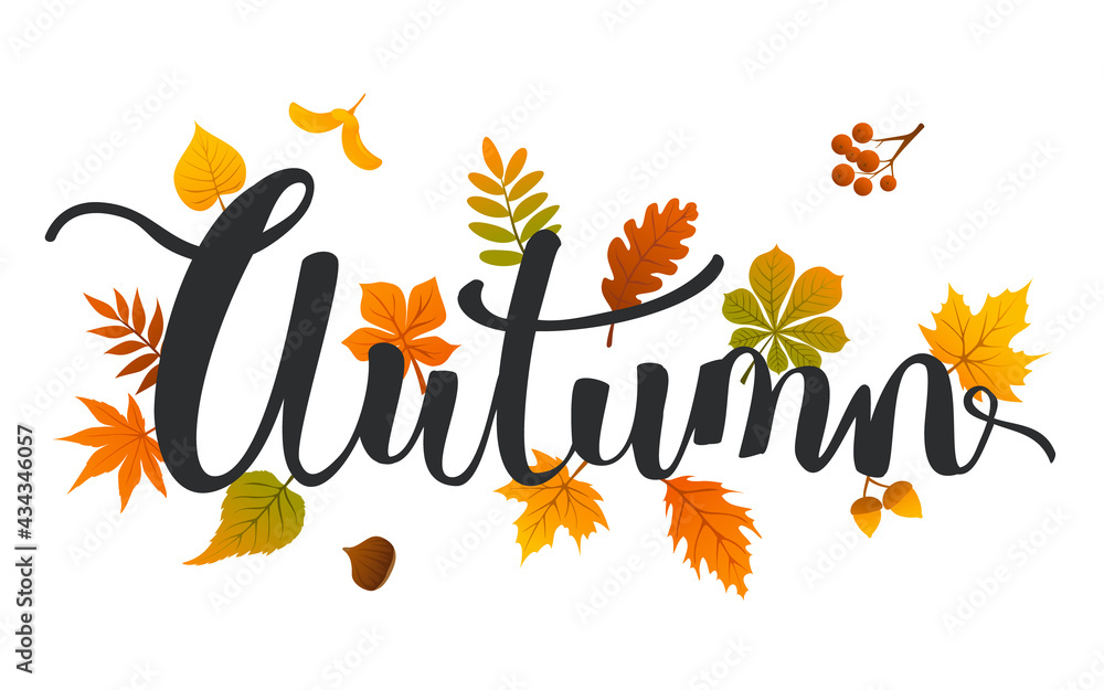 Obraz premium seasonal autumn leaves handwriting background