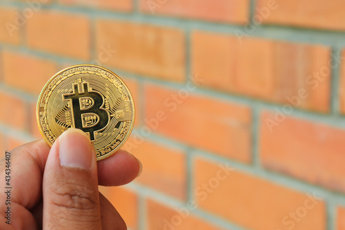bitcoin litecoin and cryptocurrency coin on brick wall background